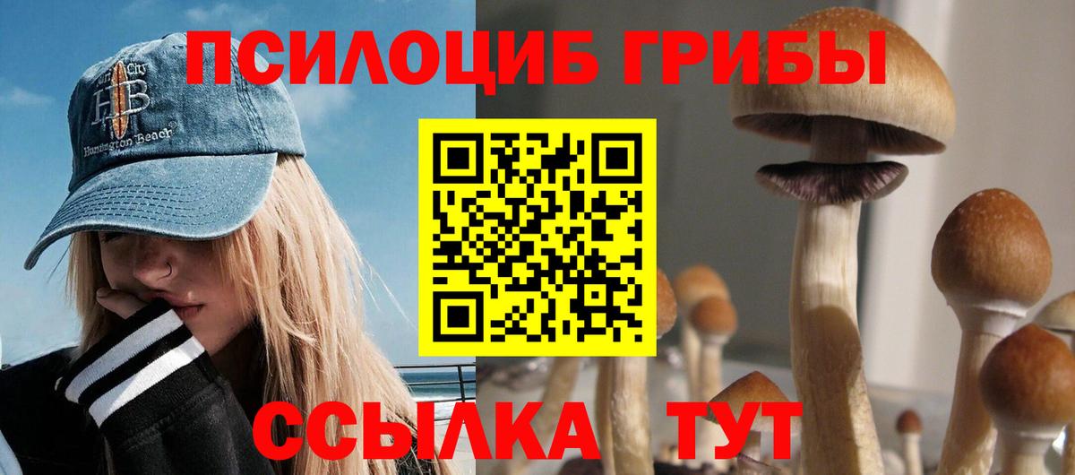 Псилоцибиновые грибы Psilocybine cubensis  Галлюциногенные грибы GOLDEN TEACHER  Прокопьевск  Вход с VPN 