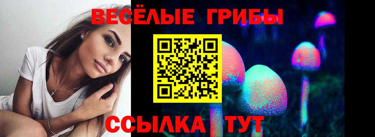 Псилоцибиновые грибы MAGIC MUSHROOMS Прокопьевск